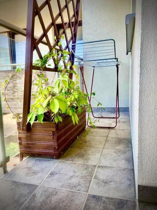 Apartament Grzegorzecka Centrum Krakow Ngoại thất bức ảnh